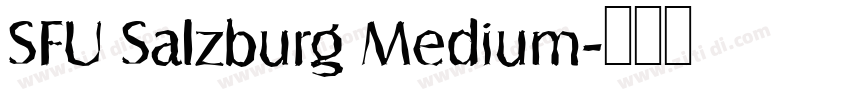 SFU Salzburg Medium字体转换